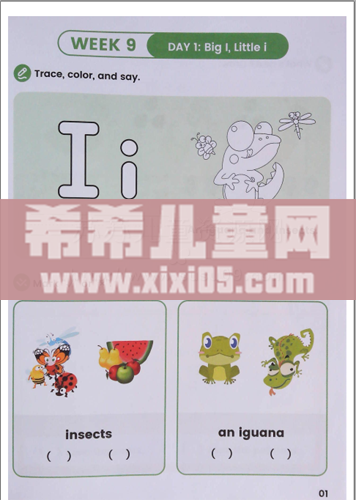 13 (2).png