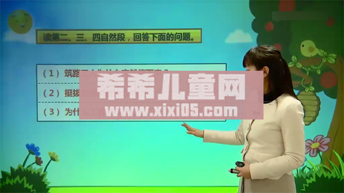 1 (6).png